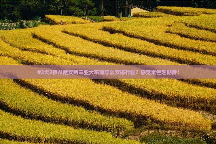 延安去三亚大东海三日游