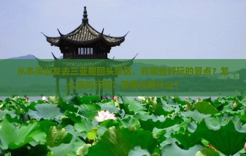 本溪出发三亚鹿回头哪里玩