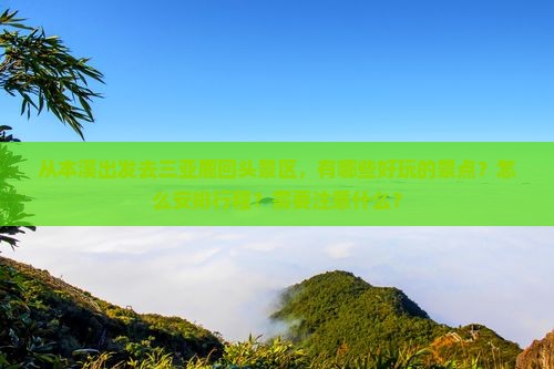 本溪出发三亚鹿回头哪里玩