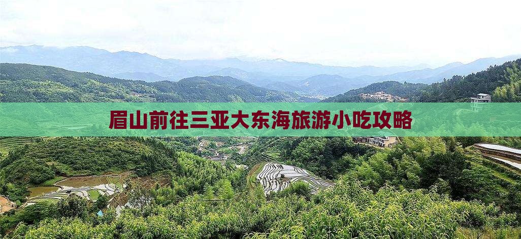 眉山前往三亚大东海旅游小吃