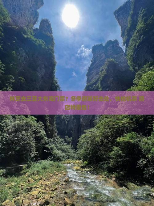 林芝去三亚大东海门票