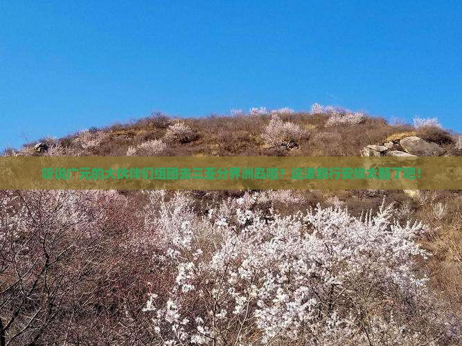 广元前往三亚分界洲岛大型旅游团