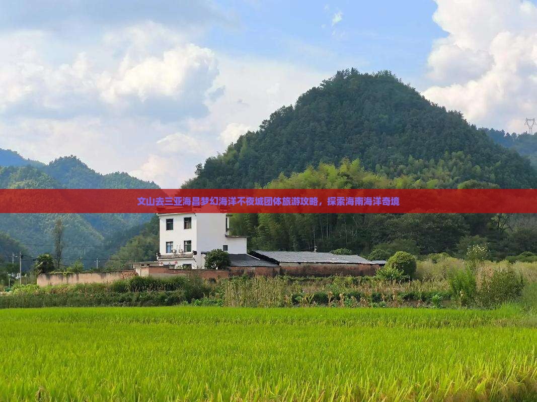 文山去三亚海昌梦幻海洋不夜城团体旅游