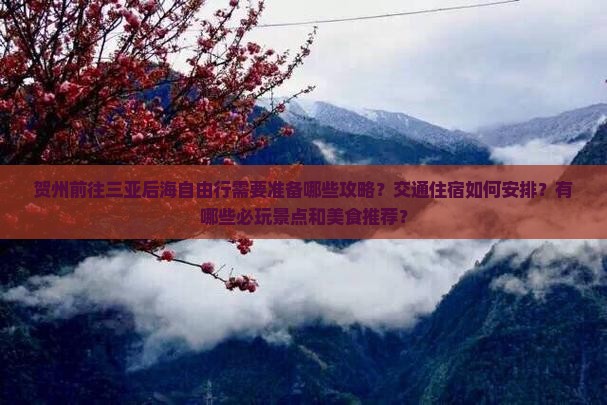 贺州前往三亚后海自由行