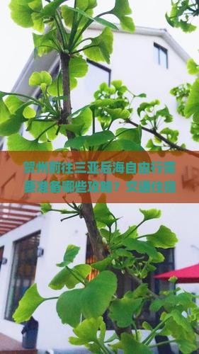 贺州前往三亚后海自由行