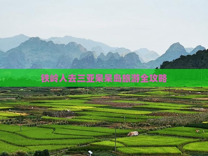 铁岭前往三亚呆呆岛旅游网红地点