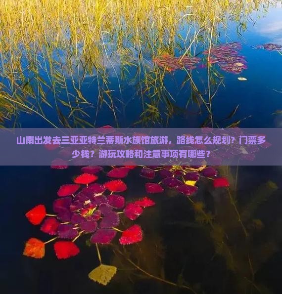 山南前往三亚亚特兰蒂斯水族馆旅游打卡点