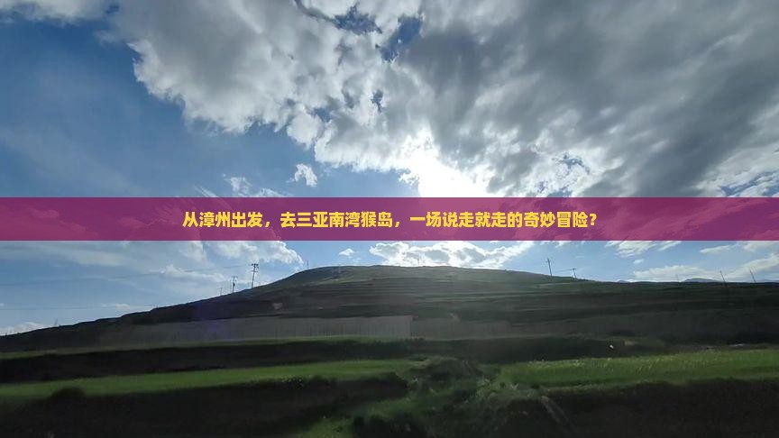漳州去三亚南湾猴岛自由团