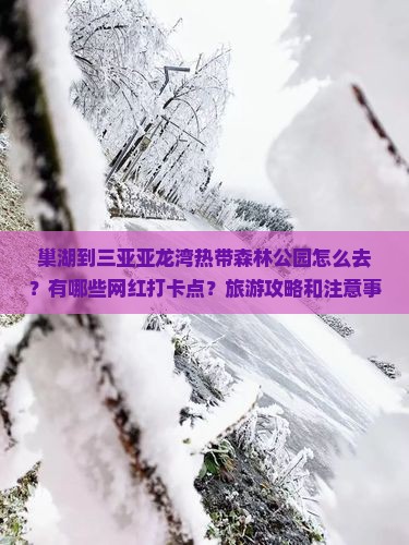 巢湖去三亚亚龙湾热带森林公园旅游网红地点