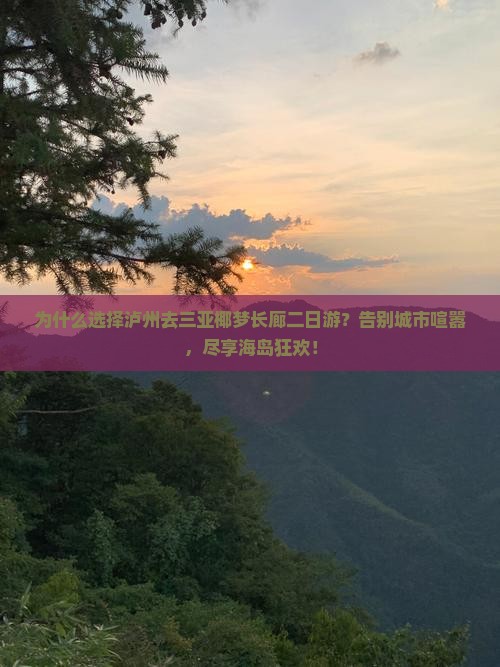 泸州去三亚椰梦长廊二日游