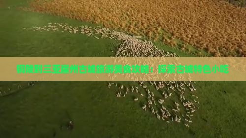铜陵前往三亚崖洲古城旅游小吃