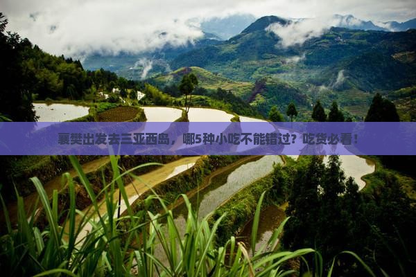 襄樊出发三亚西岛旅游小吃 襄樊出发三亚西岛旅游小吃