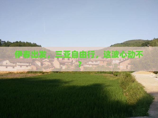 伊春出发三亚天涯海角自由行