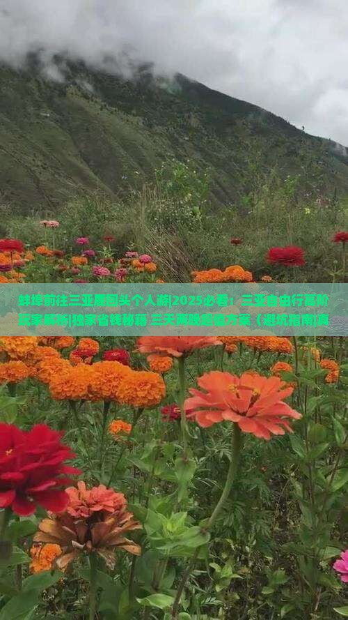 蚌埠前往三亚鹿回头个人游