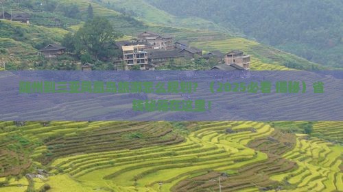 随州出发三亚凤凰岛旅行社