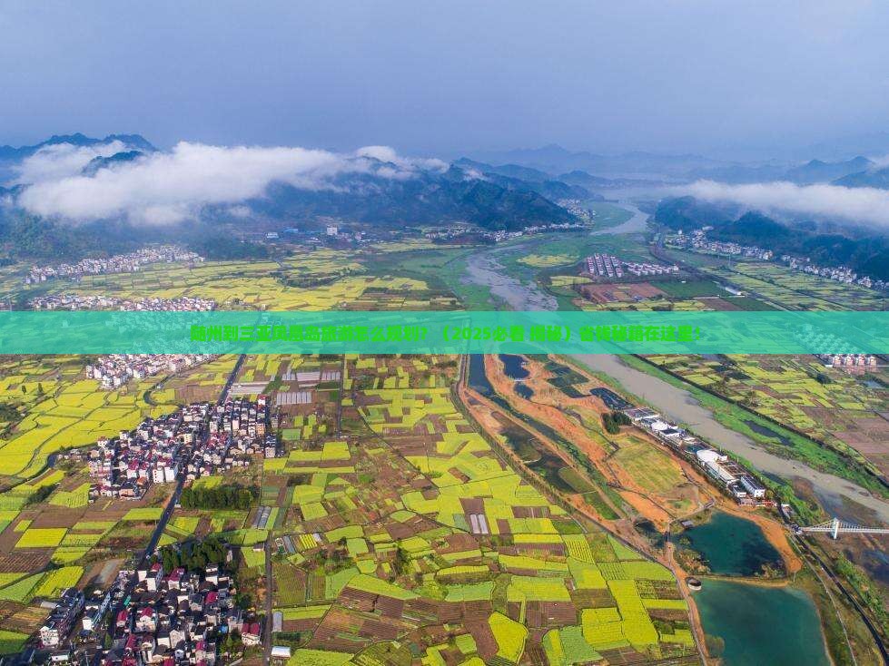 随州出发三亚凤凰岛旅行社