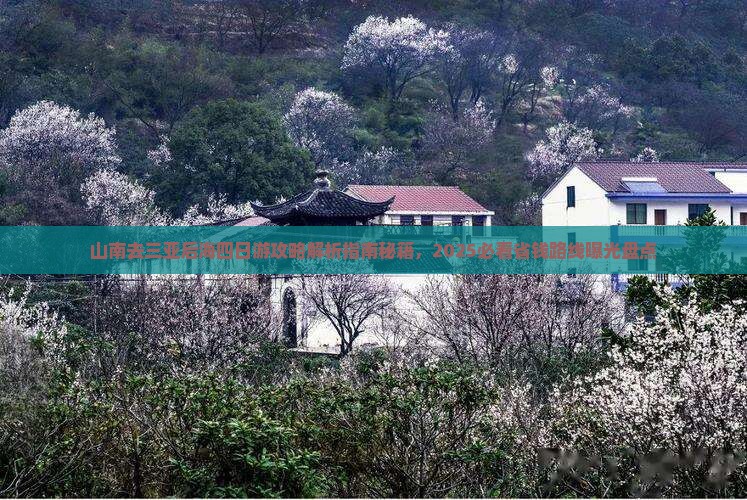 山南去三亚后海四日游 山南去三亚后海四日游