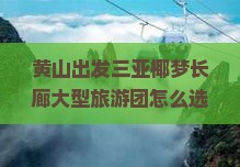 黄山前往三亚椰梦长廊大型旅游团