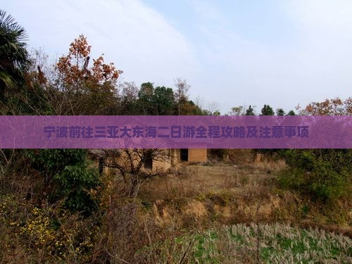 宁波前往三亚大东海二日游