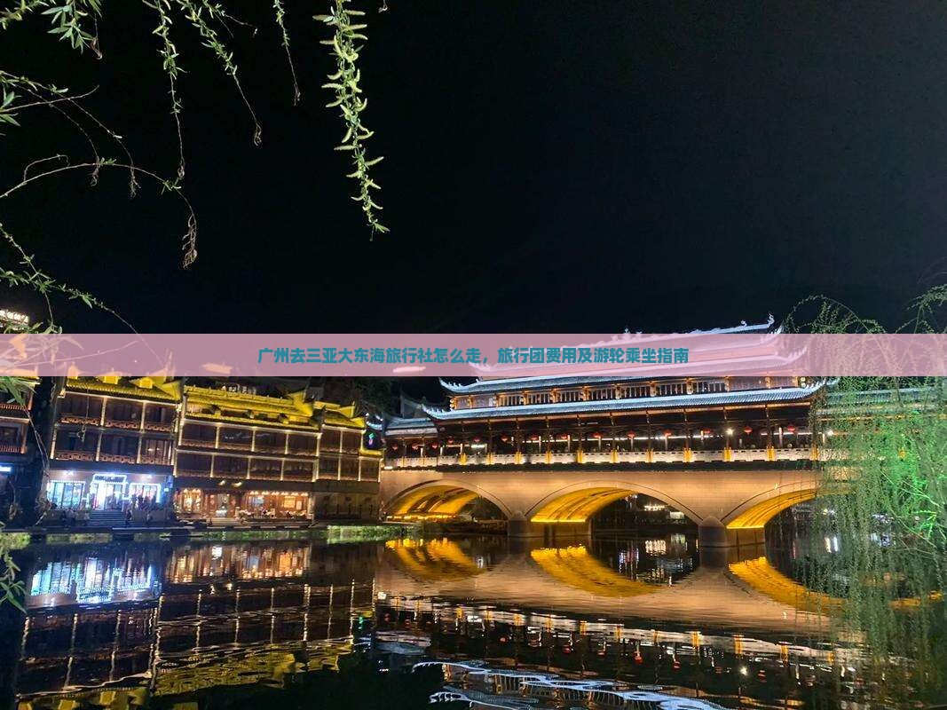 广州去三亚大东海旅行社