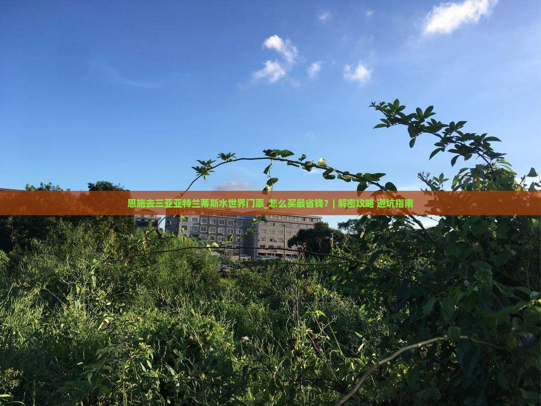 恩施去三亚亚特兰蒂斯水世界门票