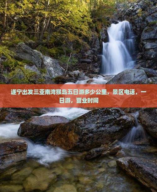 遂宁出发三亚南湾猴岛五日游