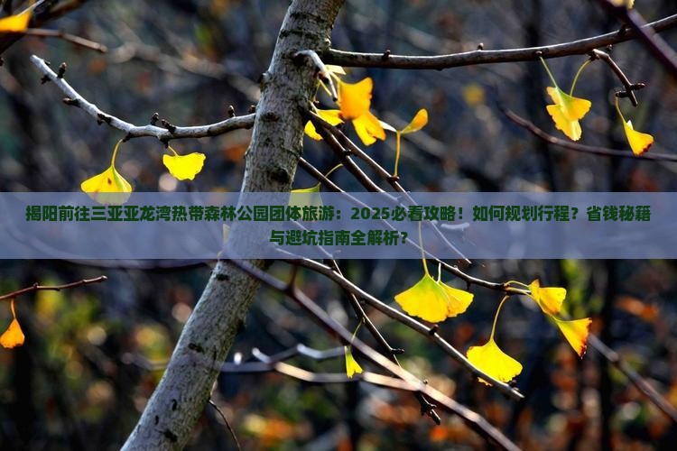 揭阳前往三亚亚龙湾热带森林公园团体旅游