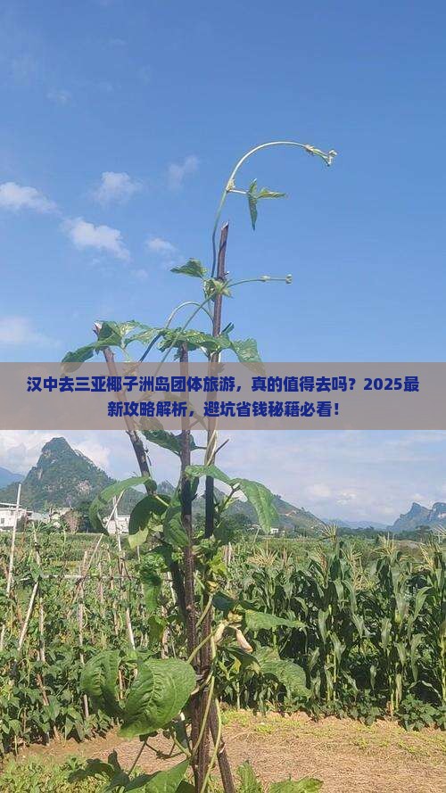 汉中去三亚椰子洲岛团体旅游