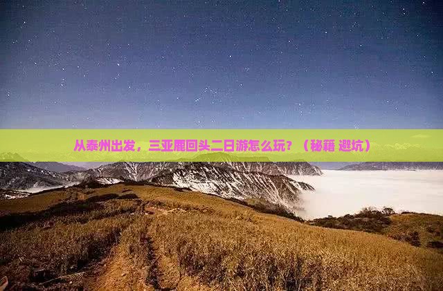 泰州出发三亚鹿回头二日游