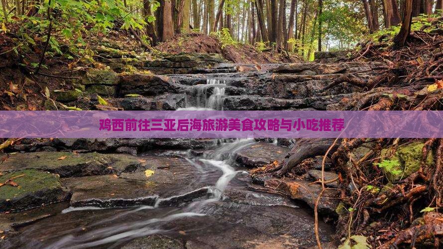 鸡西前往三亚后海旅游小吃