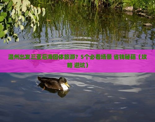 温州出发三亚后海团体旅游