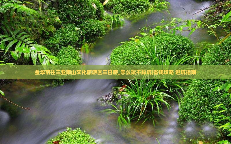 金华前往三亚南山文化旅游区三日游