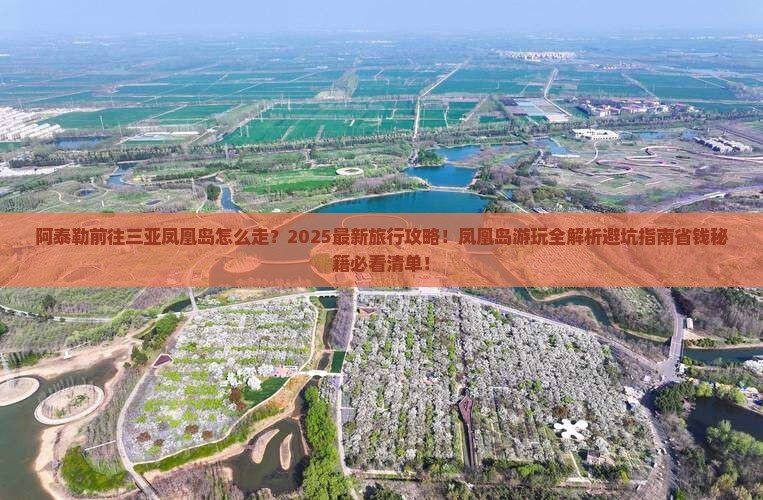 阿泰勒前往三亚凤凰岛旅行社