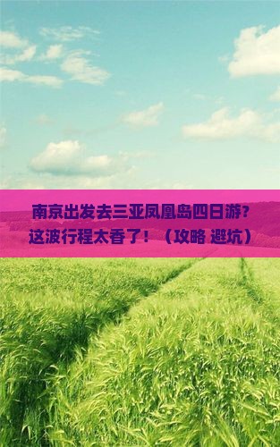 南京去三亚凤凰岛四日游