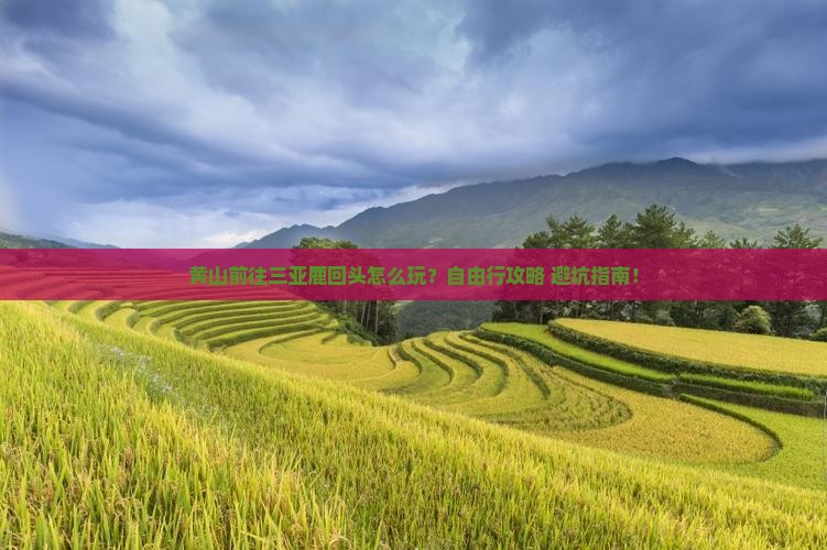 黄山前往三亚鹿回头个人游