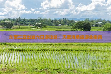 东营前往三亚天涯海角六日游