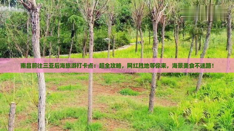 南昌前往三亚后海旅游打卡点