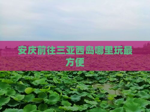 安庆前往三亚西岛哪里玩