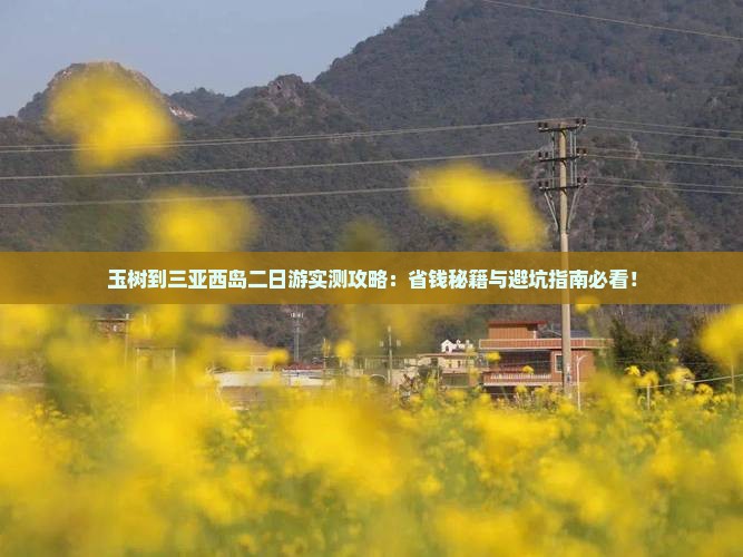 玉树去三亚西岛二日游