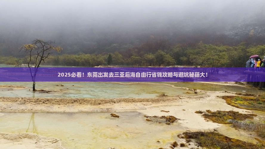 东莞去三亚后海自由行