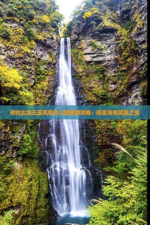 邢台出发三亚凤凰岭公园团体旅游