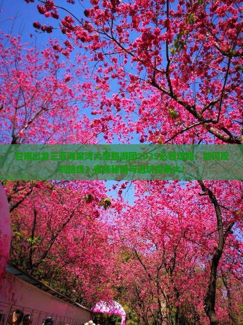 甘南出发三亚海棠湾大型旅游团