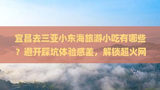 宜昌前往三亚小东海旅游小吃