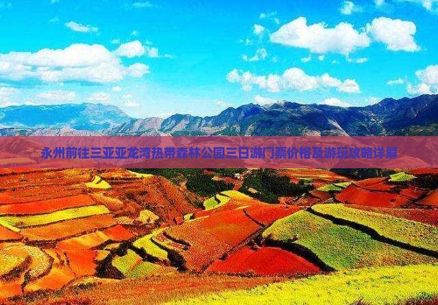 永州前往三亚亚龙湾热带森林公园三日游