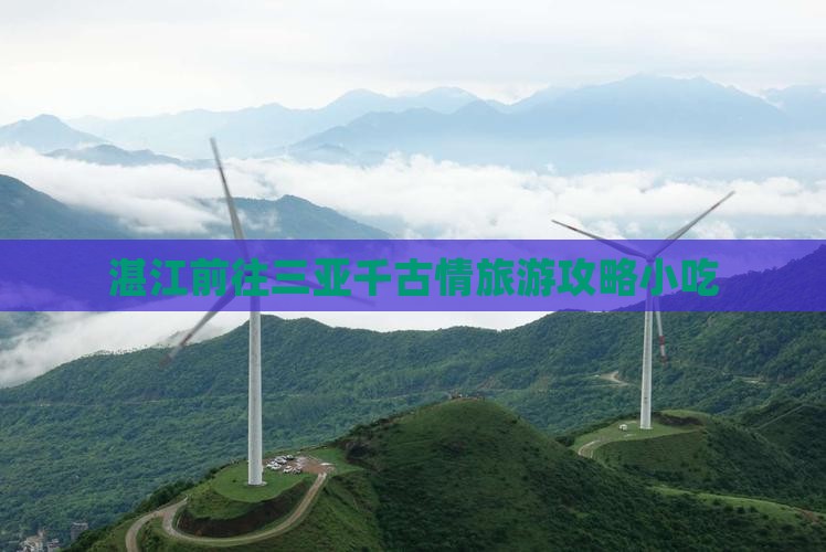 湛江前往三亚千古情旅游小吃
