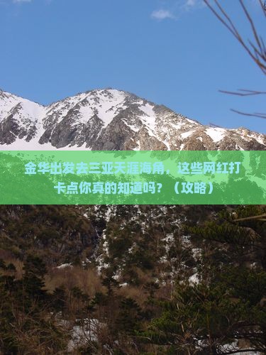 金华去三亚天涯海角旅游网红地点