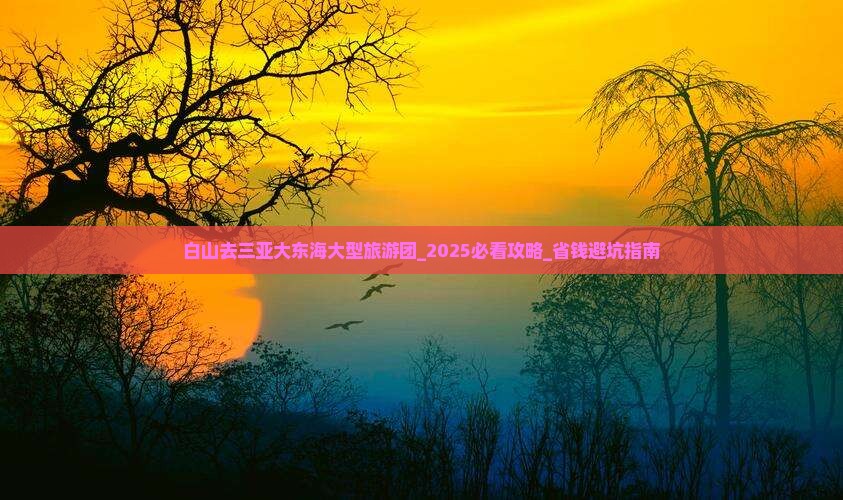 白山去三亚大东海大型旅游团