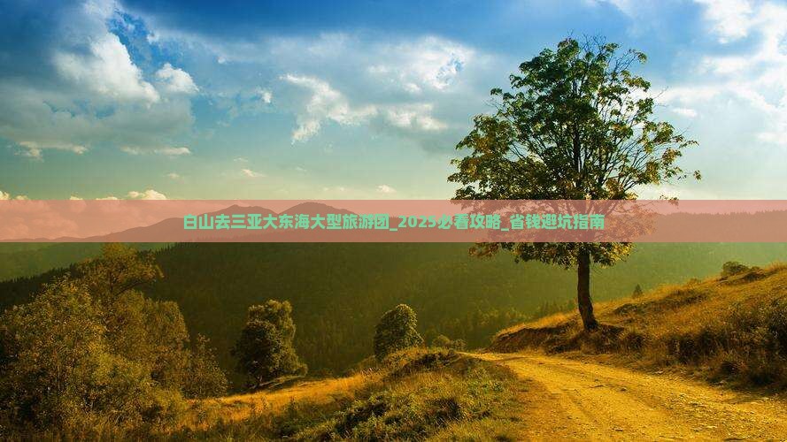 白山去三亚大东海大型旅游团