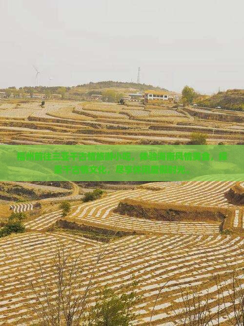 福州前往三亚千古情旅游小吃