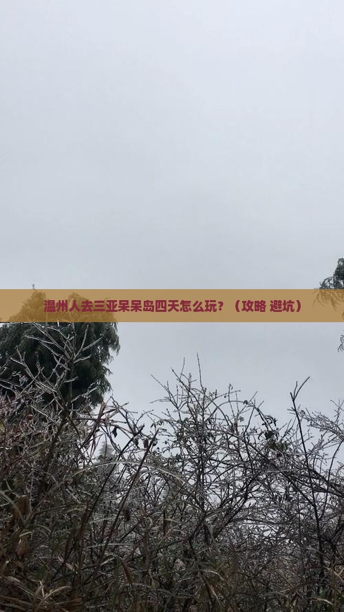 温州去三亚呆呆岛四日游
